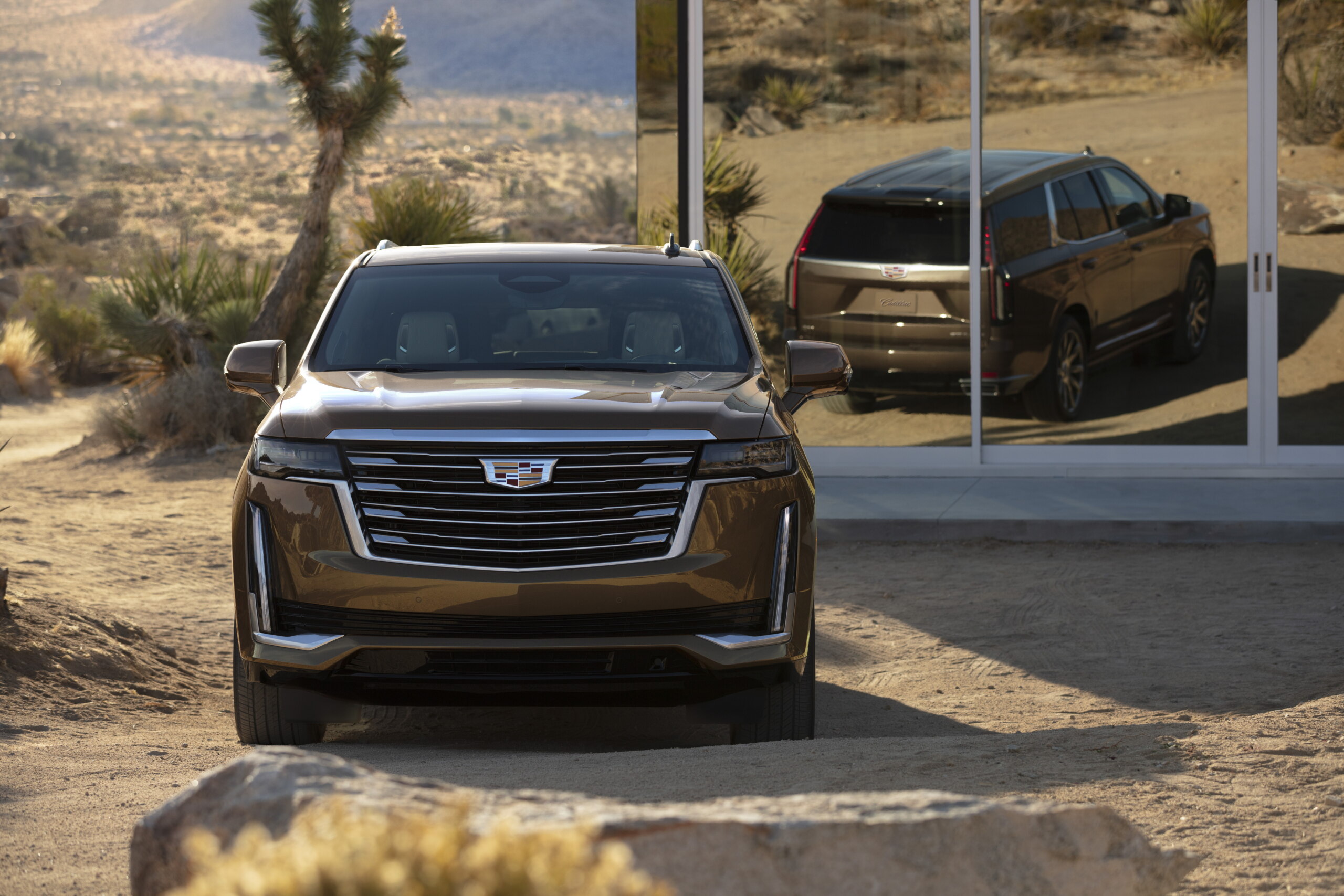 Cadillac Escalade White 2020