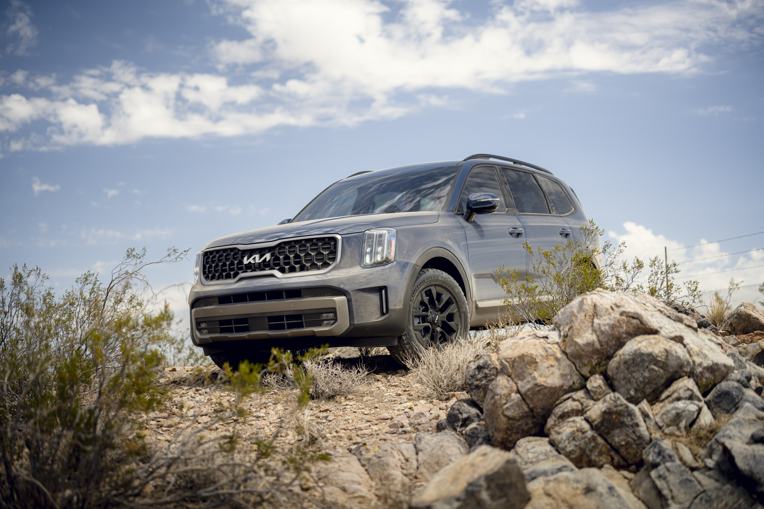 Hyundai Palisade vs Kia Telluride